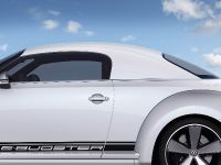 Volkswagen E-Bugster Concept (2012) - picture 10 of 14