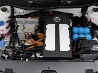 Volkswagen E-Lavida Concept (2010) - picture 5 of 6