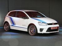 Volkswagen Polo WRC Street (2012) - picture 1 of 3