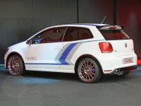 Volkswagen Polo WRC Street (2012) - picture 2 of 3