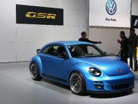 Volkswagen Super Beetle Chicago (2013)