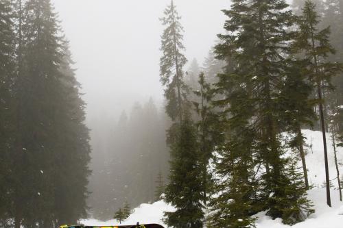 Volvo Burton Collection (2009) - picture 1 of 3