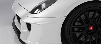 Vorsteiner 599-VX Ferrari (2012) - picture 15 of 30