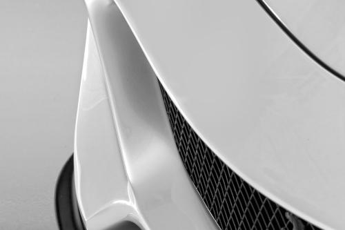 Vorsteiner 599-VX Ferrari (2012) - picture 16 of 30