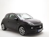 VV Brown Vauxhall Adam (2014) - picture 1 of 10