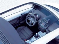 Volkswagen Beetle Ragster (2005)