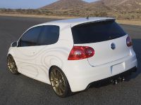 Volkswagen Thunder Bunny (2007)