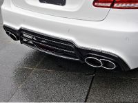 Wald  Mercedes-Benz E-Class Black Bison Edition (2014) - picture 6 of 13