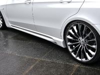 Wald  Mercedes-Benz E-Class Black Bison Edition (2014)