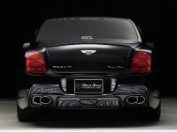 WALD Bentley Continental Flying Spur Black Bison Edition (2010) - picture 8 of 17