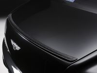 WALD Bentley Continental Flying Spur Black Bison Edition (2010)