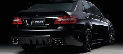 WALD Nercedes-Benz E-Class Sports Line Black Bison Edition (2010) - picture 7 of 21