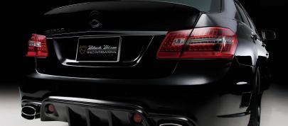 WALD Nercedes-Benz E-Class Sports Line Black Bison Edition (2010) - picture 20 of 21