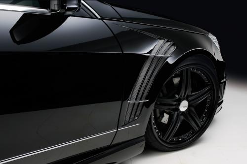 WALD Nercedes-Benz E-Class Sports Line Black Bison Edition (2010) - picture 16 of 21