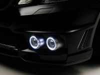 WALD Nercedes-Benz E-Class Sports Line Black Bison Edition (2010) - picture 14 of 21