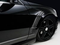 WALD Nercedes-Benz E-Class Sports Line Black Bison Edition (2010)