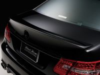 WALD Nercedes-Benz E-Class Sports Line Black Bison Edition (2010) - picture 19 of 21