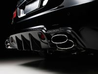 WALD Nercedes-Benz E-Class Sports Line Black Bison Edition (2010)