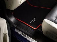 Wald  Jaguar XJ X350 Black Bison Edition (2011) - picture 14 of 30