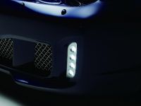 Wald  Jaguar XJ X350 Black Bison Edition (2011) - picture 29 of 30