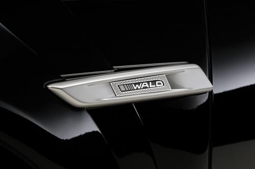 WALD Lexus LS460 Exucutive Line (2010) - picture 25 of 30