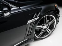 WALD Lexus LS460 Exucutive Line (2010)