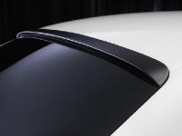 Wald Maserati Quattroporte Black Bison (2011)