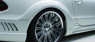 Wald Mercedes-Benz R230 Black Bison Edition (2011) - picture 12 of 17