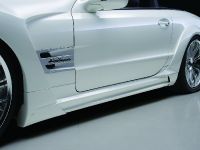 Wald Mercedes-Benz R230 Black Bison Edition (2011) - picture 11 of 17