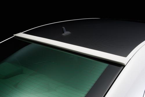 WALD Mercedes-Benz S-Class Sports Line Black Bison Edition (2010) - picture 24 of 25