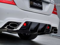 WALD Mercedes-Benz S-Class Sports Line Black Bison Edition (2010) - picture 6 of 25