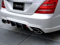 WALD Mercedes-Benz S-Class Sports Line Black Bison Edition (2010)