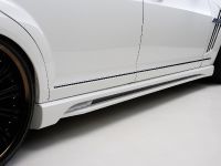 WALD Mercedes-Benz S-Class Sports Line Black Bison Edition (2010) - picture 21 of 25