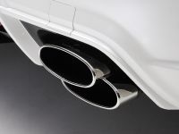 WALD Mercedes-Benz S-Class Sports Line Black Bison Edition (2010)