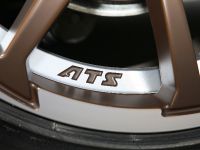 Wetterauer MINI Countryman (2011) - picture 13 of 21