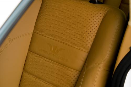 Wheelsandmore Mercedes-Benz CLS White Label (2009) - picture 40 of 58