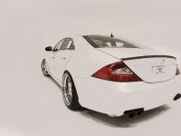Wheelsandmore Mercedes-Benz CLS White Label (2009) - picture 3 of 58