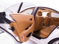 Wheelsandmore Mercedes-Benz CLS White Label (2009) - picture 14 of 58