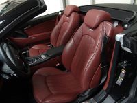 Wheelsandmore Mercedes-Benz SL Maxx (2009) - picture 10 of 12