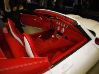 Wiesmann GT MF5 Frankfurt (2011) - picture 5 of 8