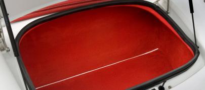 Wiesmann Roadster MF5 Limited Edition (2009) - picture 15 of 17