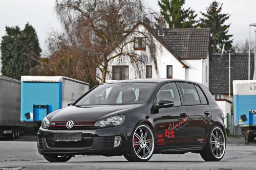 Wimmer RS Volkswagen Golf GTI (2009) - picture 8 of 9