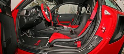 Wimmer RS Porsche GT2 RS (2010) - picture 12 of 14