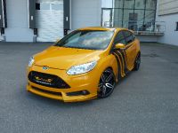 Wolf Racing Ford Focus ST (2013) - picture 1 of 7