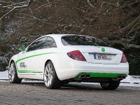 Wrap Works Mercedes-Benz CL 500 (2013) - picture 8 of 15