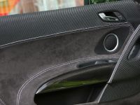 XXX Performance Audi R8 V10 (2012) - picture 11 of 13