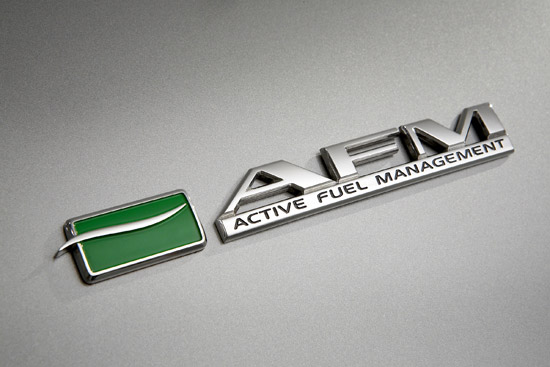 Holden EcoLine AFM Badge