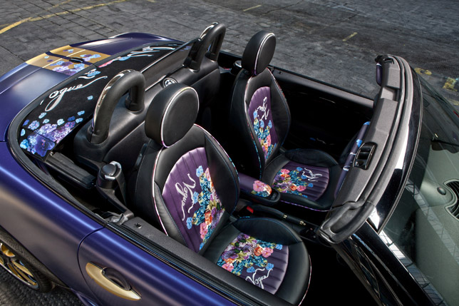 2012 MINI Roadster by Franca Sozzani Interior