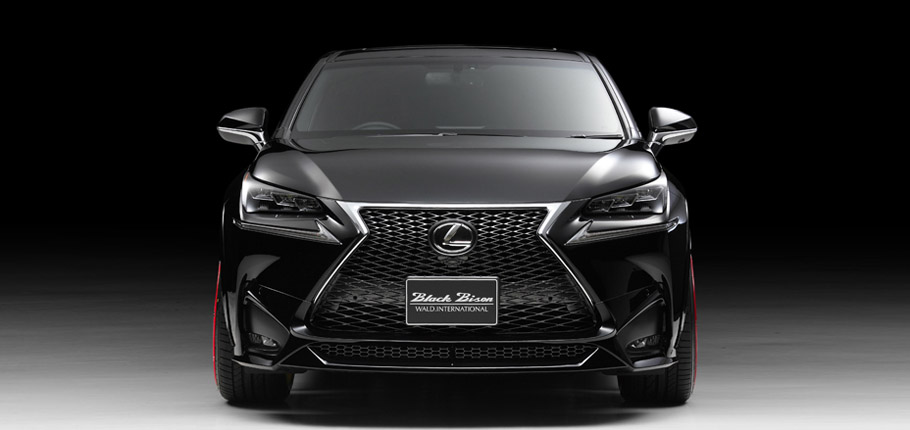 Wald International Lexus NX Front View