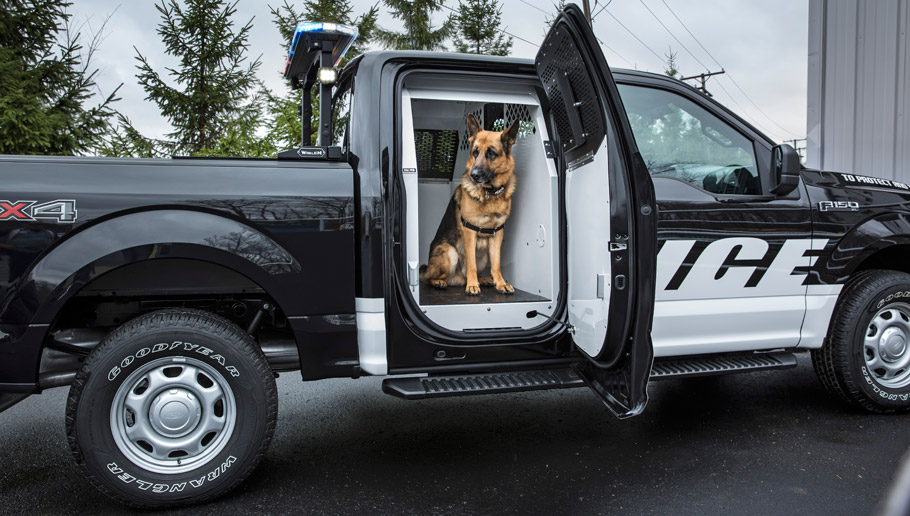 2016 Ford F-150 Special Service Vehicle